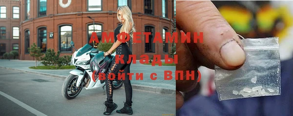 ECSTASY Алзамай