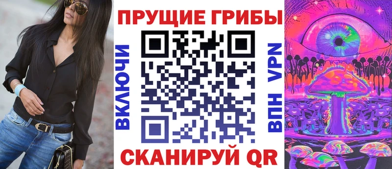 закладка  Артёмовский  Галлюциногенные грибы Psilocybe 